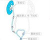 肾盂肾炎常识